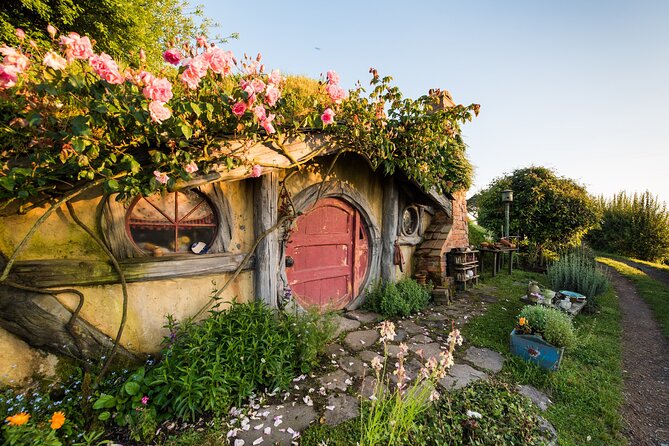 Hobbiton Movie Set Small Group Tour from Auckland - The Waikato countryside between city and set