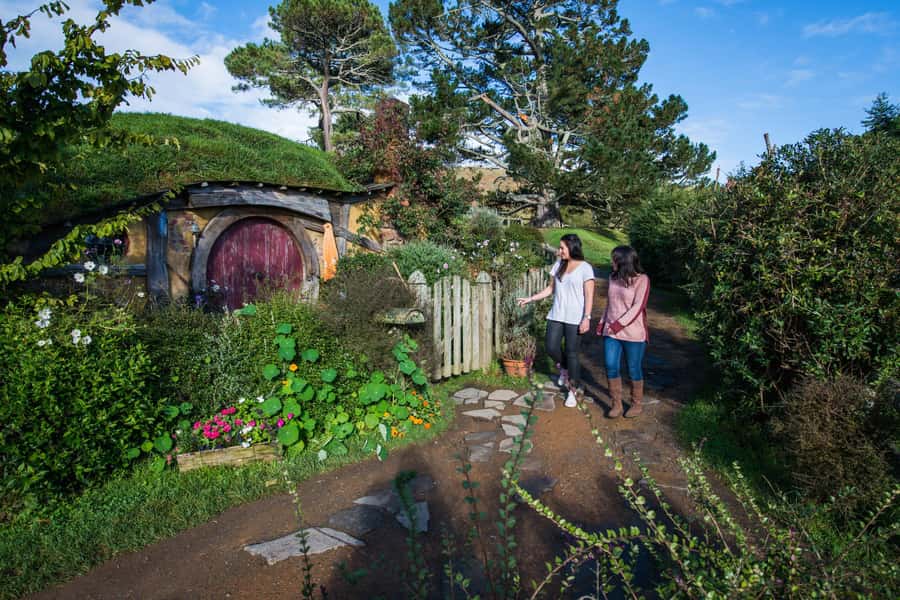 Hobbiton Movie Set & Te Puia Geothermal Valley Private Tour - Why this Auckland day trip makes sense