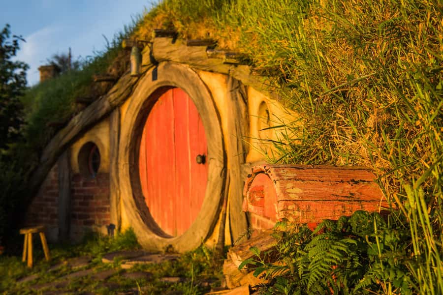 Hobbiton Movie Set & Te Puia Geothermal Valley Private Tour - Rotorua and Te Puia’s geothermal valley