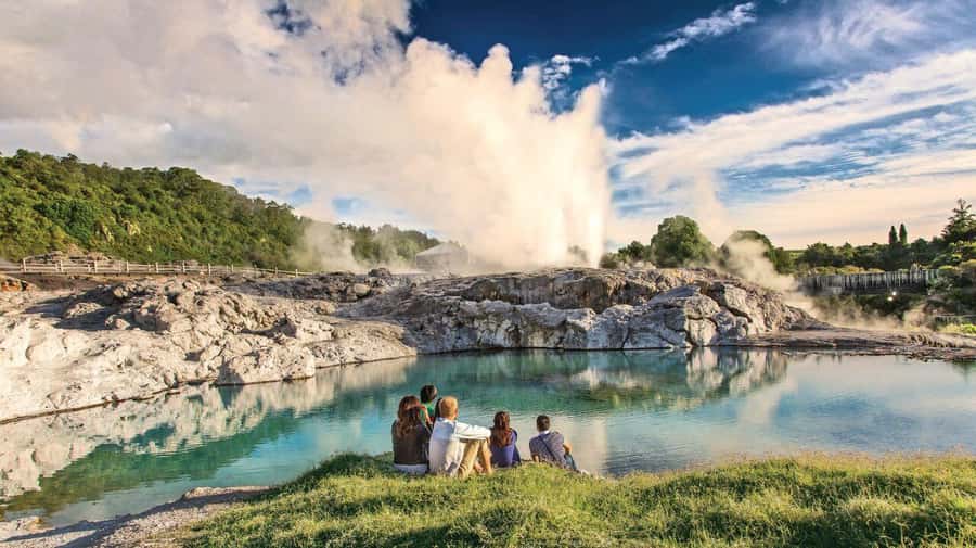 Hobbiton Movie Set & Te Puia Geothermal Valley Private Tour - Seeing a kiwi at Nga Manu Ahurei