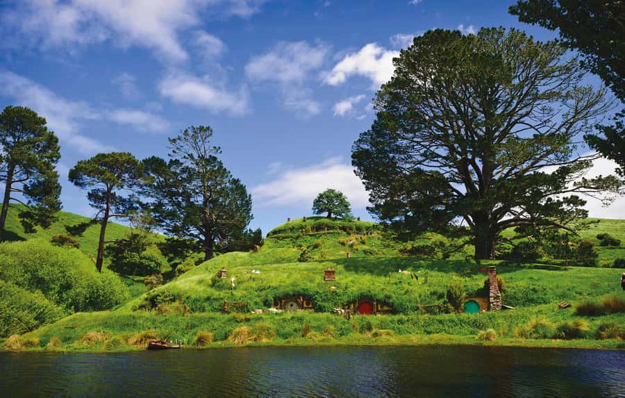 Hobbiton Movie Set & Te Puia Geothermal Valley Private Tour - The drive from Auckland to Hobbiton