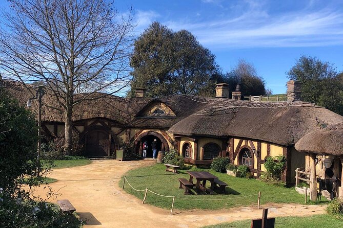 Hobbiton movie set tour and a lot more beautiful NZ sights - McLaren Falls Park and the native forest walk