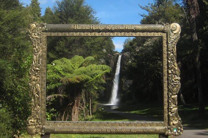 Hobbiton Movie Set Tour from Auckland - How the mixed feedback should affect your decision