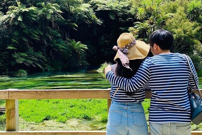 Hobbiton Movie Set tour & Glowworm Cave day tour - Cruising beneath Waitomo’s glowworms