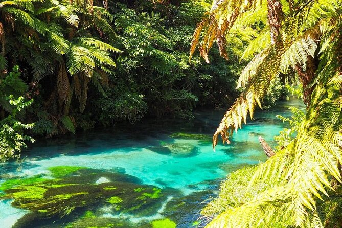Hobbiton Movie Set Tour to Blue Springs and Mineral Spa - Blue Springs and the clearest part of the day