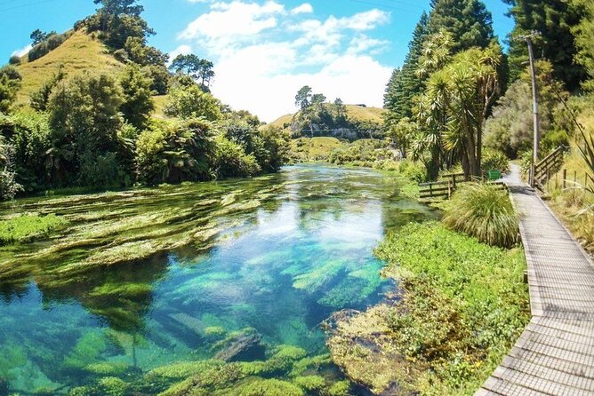 Hobbiton Movie Set Tour to Blue Springs and Mineral Spa - A private mineral bath at Te Aroha