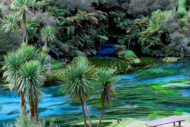 Hobbiton Movie Set Tour to Blue Springs and Mineral Spa - Is $456.12 per person good value?