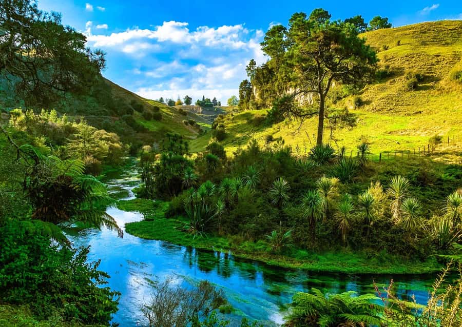 Hobbiton Movie Set Tour to Blue Springs and Waitomo caves - Beneath Waitomo’s glowworms by boat