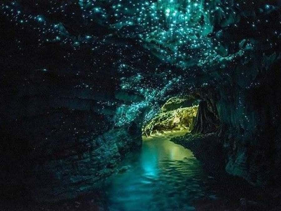 Hobbiton Movie Set Tour to Blue Springs and Waitomo caves - What the Auckland pickup adds