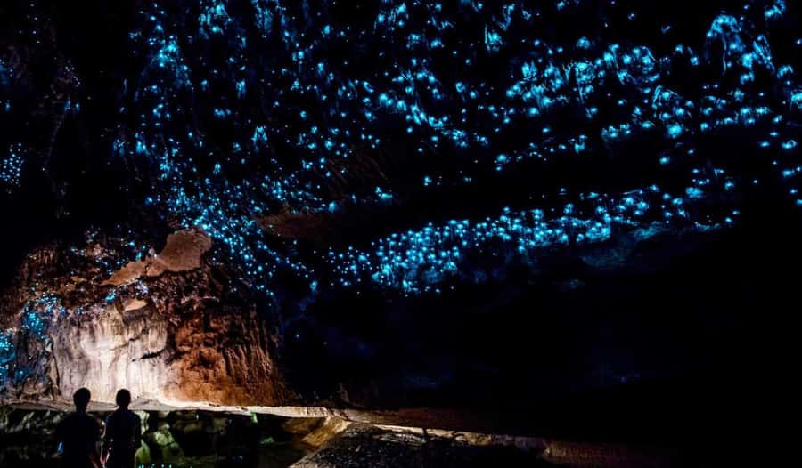 Hobbiton Movie Set Tour to Blue Springs and Waitomo caves - Weather, footwear, and what to carry