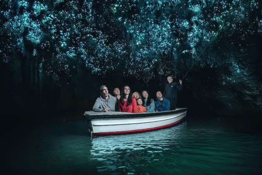 Hobbiton Movie Set Tour to Blue Springs and Waitomo caves - Who should book this day trip?