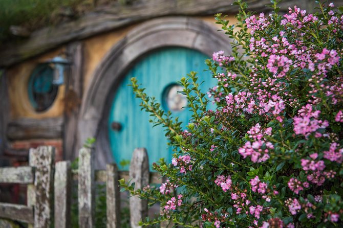 Hobbiton Movie set & Waitomo Caves Small Group Tour From Auckland - Key points to know before booking
