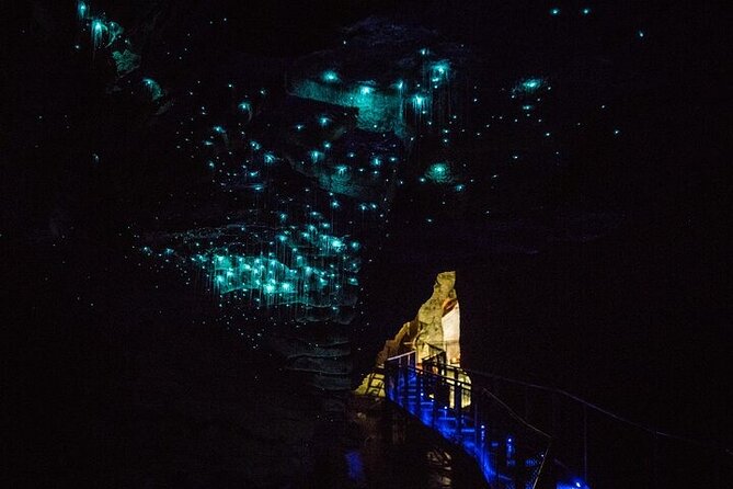 Hobbiton Movie Set & Waitomo Glow Worm Caves Private Tour - What the private format is really worth