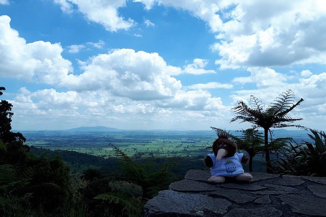 Hobbiton Transport & Tauranga Highlights Excursion from Tauranga - McLaren Falls gives the day breathing room