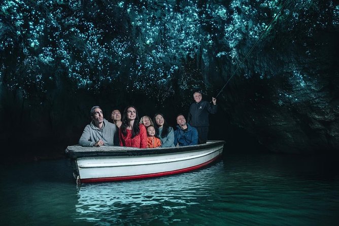 Hobbiton & Waitomo Caves Exclusive Luxury Day Tour From Auckland - Matamata, dairy country, and a Hobbit-shaped welcome