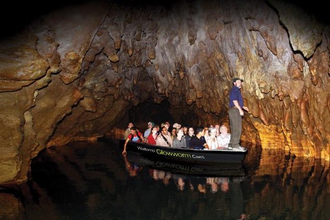 Hobbiton & Waitomo Caves Guided Tour from Auckland with Lunch - Is the $271.19 price fair?