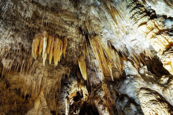 Hobbiton & Waitomo Caves Small Group Tour from Auckland inc Lunch - Lake Karapiro and the Waikato countryside