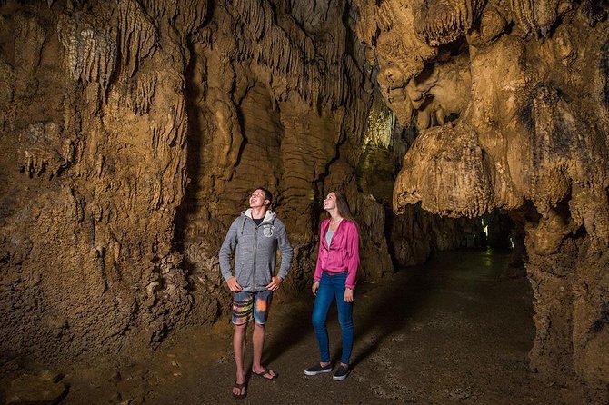 Hobbiton & Waitomo Caves Small Group Tour from Auckland inc Lunch - The long return to Auckland