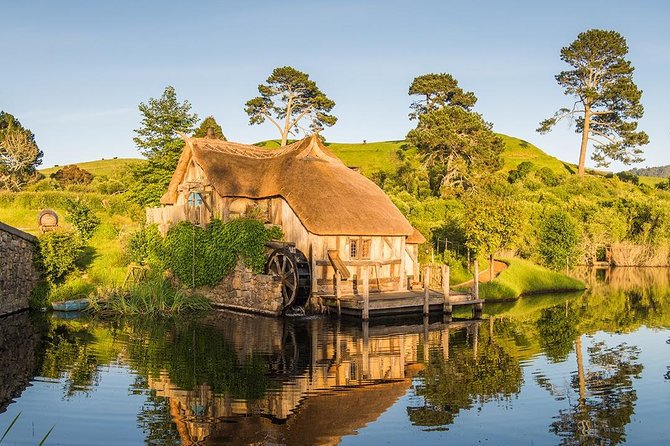 Hobbiton & Waitomo Caves Small-Group Tour W Lunch from Auckland - The road back to Auckland