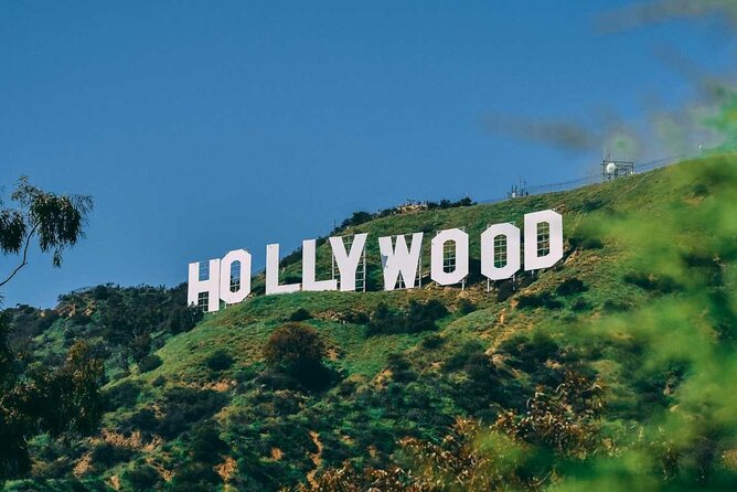 Hollywood, Beverly Hills, Santa Monica, and Venice Private Tour. - Beverly Hills, Rodeo Drive, and the lily pond