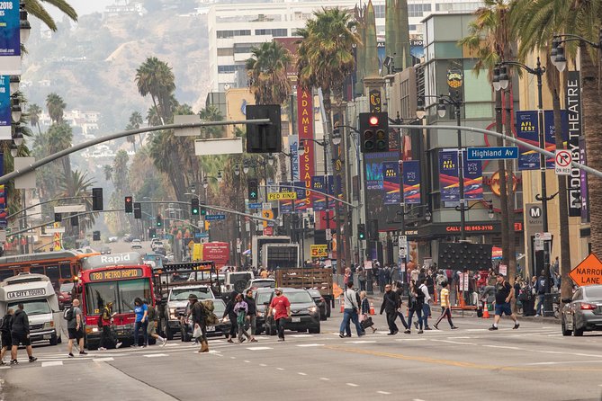 Hollywood Open Bus Tours - The Hollywood Sign and Hollywood Hills views
