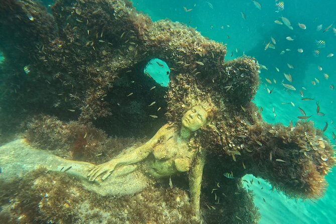 Hollywood Snorkel, Kayak & Paddleboard with Reefs and Sculptures - Snorkeling Among Fish and Underwater Sculptures