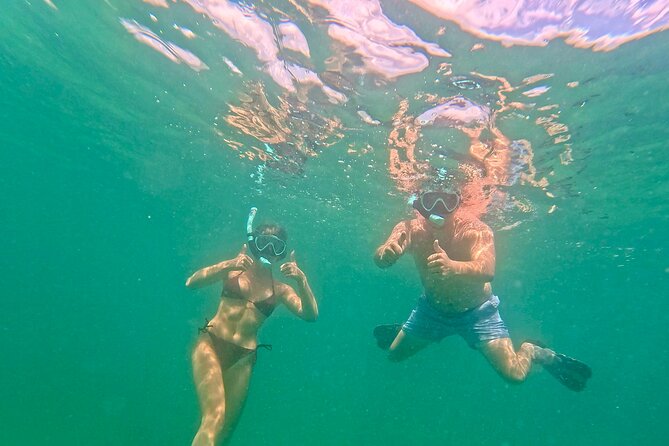 Hollywood Snorkel, Kayak & Paddleboard with Reefs and Sculptures - The Beach Setup Is More Than an Afterthought