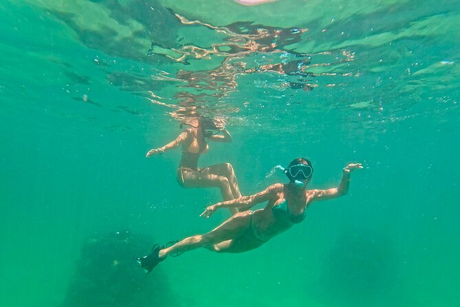 Hollywood Snorkel, Kayak & Paddleboard with Reefs and Sculptures - Practical Details Before You Book