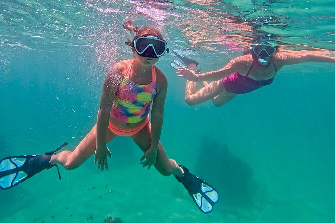 Hollywood Snorkel, Kayak & Paddleboard with Reefs and Sculptures - Who Will Get the Most From This Tour?