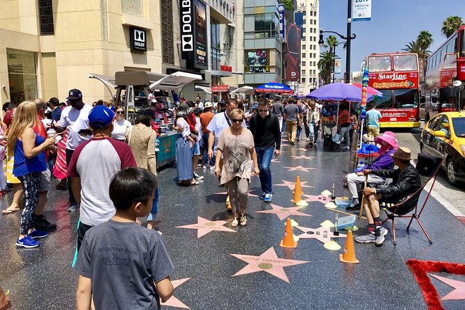 Hollywood Stars Tour: Walk of Fame, Celebrity Homes, Sunset Strip - Rodeo Drive from the van