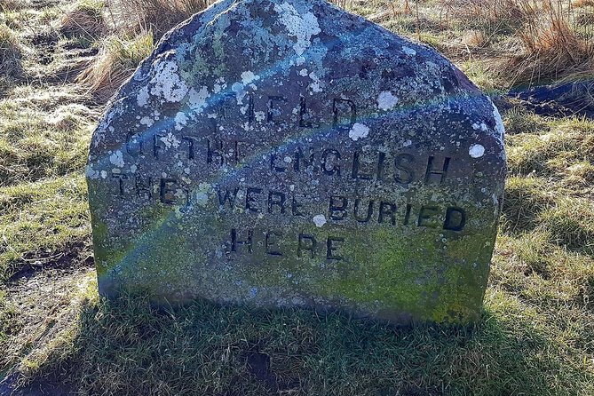 Invergordon Outlander - Highland cattle and a practical farm-shop stop
