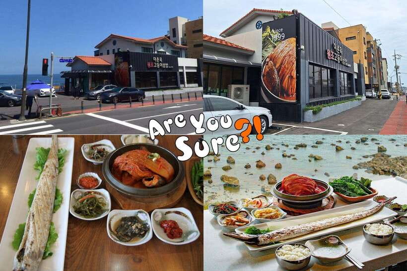 Jeju: BTS Are You Sure?! Filming Locations Private Taxi Tour - Key points at a glance
