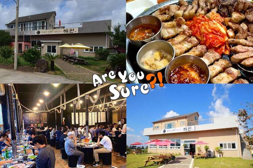 Jeju: BTS Are You Sure?! Filming Locations Private Taxi Tour - Pickup, luggage, and vehicle limits