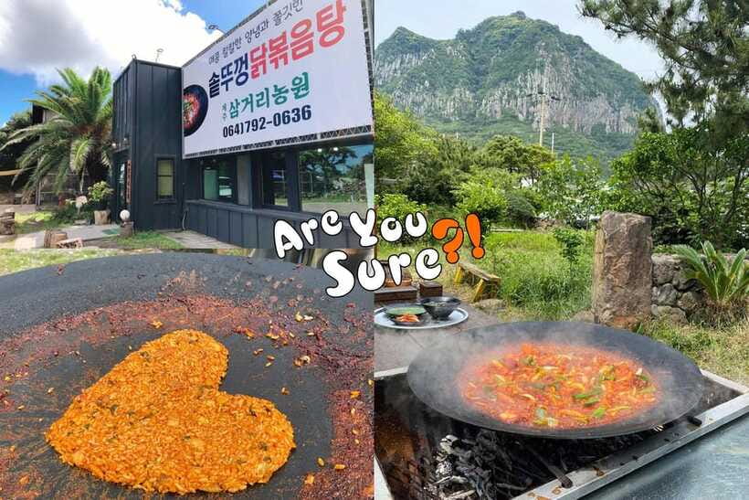 Jeju: BTS Are You Sure?! Filming Locations Private Taxi Tour - Price and value for BTS fans