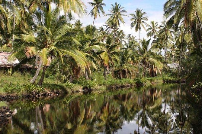 Kauai: Hawaii Movie Tour - The Coco Palms issue