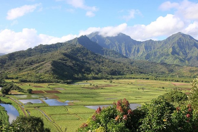 Kauai: Hawaii Movie Tour - Opaekaa Falls and the older movie trail