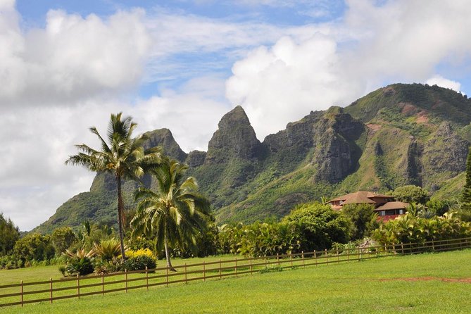 Kauai: Highlights & Movie Sites - Pickup choices make the morning easier