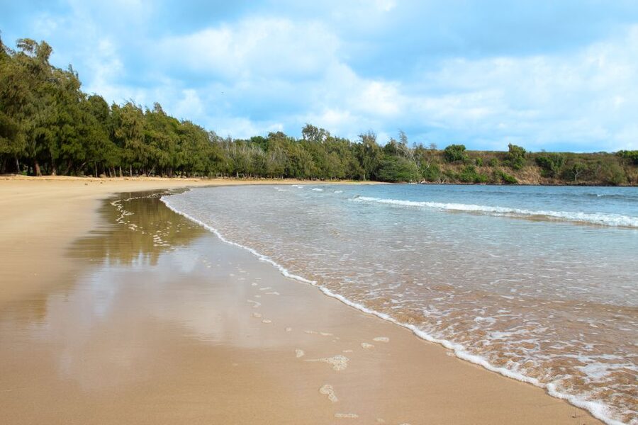 Kauai: Movie Locations Tour - Why a movie tour is a smart way to see Kauai
