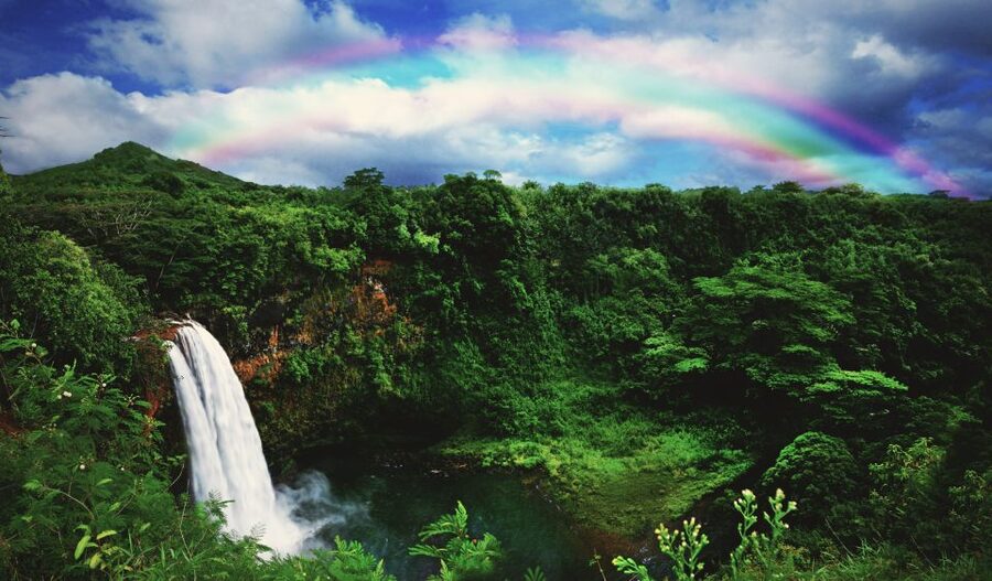 Kauai: Movie Locations Tour - Jurassic Park and Kauai’s wild scenery