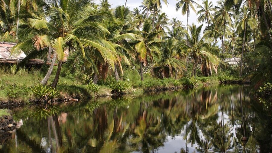 Kauai: Movie Locations Tour - Is $172 per person fair?