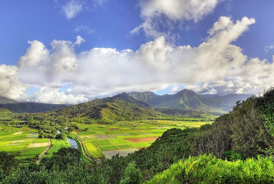 Kauai: Movie Locations Tour - Accessibility, clothing, and practical planning