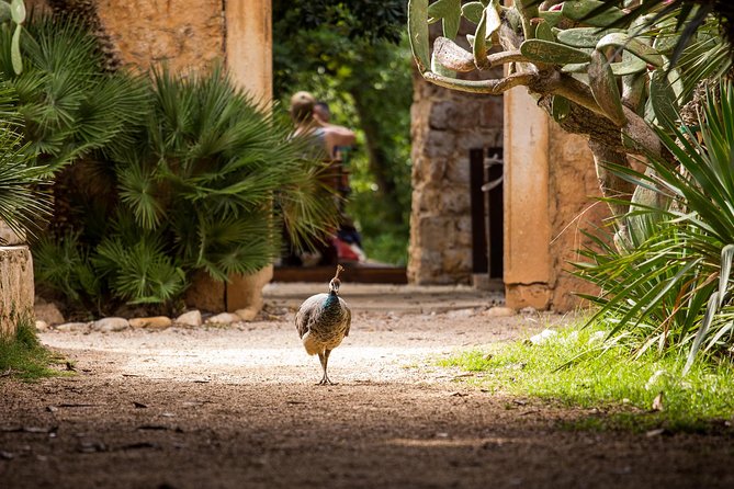 Legendary Game of Thrones & Lokrum Island Tour - What the $42.33 price really covers