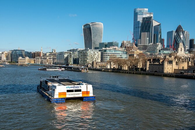 London: Harry Potter Walk, Hop-on Hop-off Bus Tour and Cruise - What the app adds after the guided walk