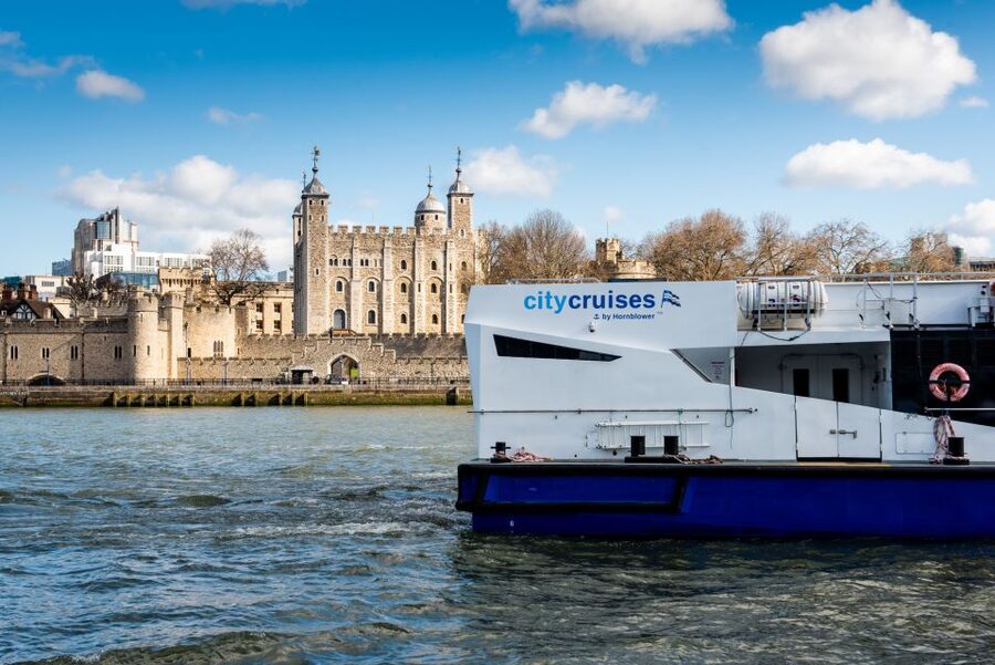 London: Harry Potter Walk, Hop-on Hop-off Bus Tour & Cruise - Following the wizarding trail through Whitehall