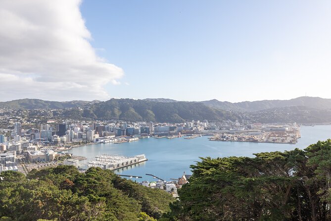 Lord of the Rings 1/2 day Tour to rule them all incl. Weta Tour - Why this half-day tour works