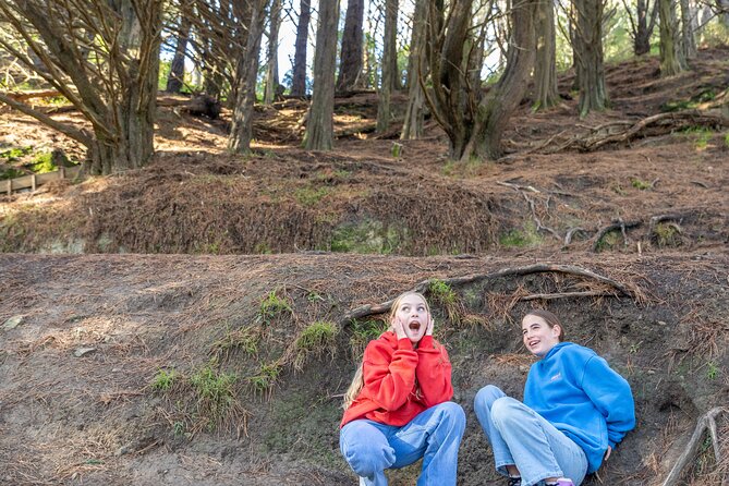 Lord of The Rings Full Day locations tour incl Weta & keepsake - Dry Creek Quarry and Poet’s Park show how settings change