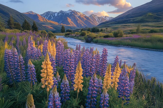 Lord of the Rings Scenic Half Day Tour from Queenstown - Private access brings the film locations closer