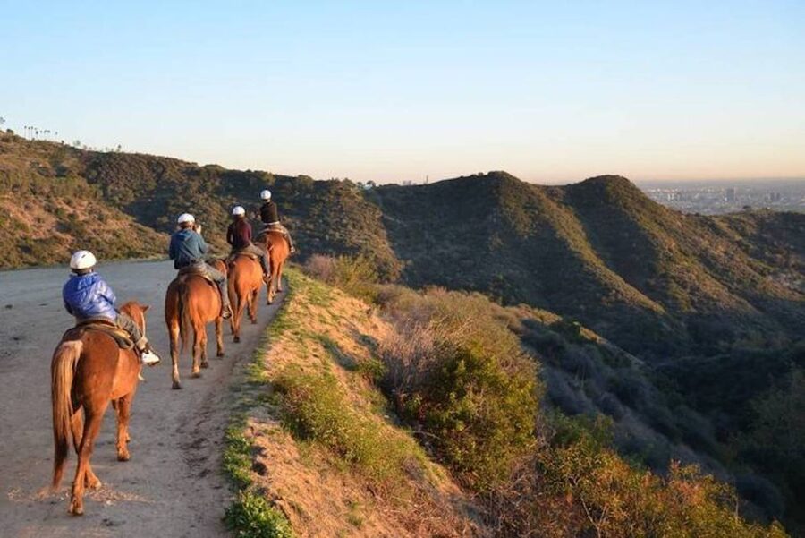 Los Angeles: 2-Hour Hollywood Trail Horseback Riding Tour - Riding the Griffith Park hills at a relaxed pace