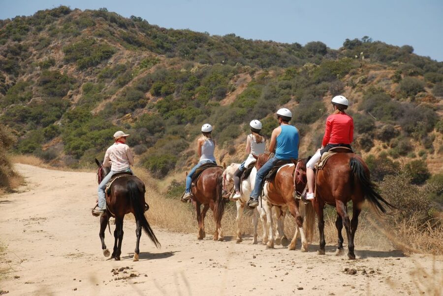 Los Angeles: 2-Hour Hollywood Trail Horseback Riding Tour - The first minutes: meeting your horse and guide