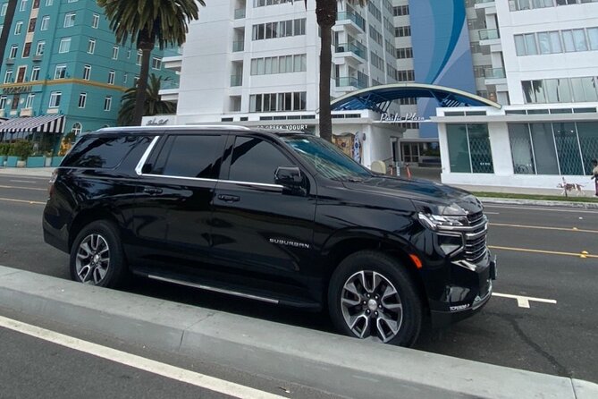 Los Angeles 3-Hour Hollywood - Beverly Hills -LAX Trip - Meeting your chauffeur inside the terminal